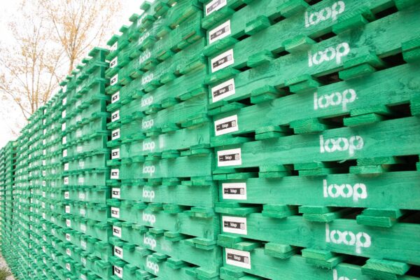 Pallet loop